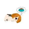 Schlafender Beagle Napf