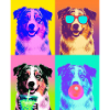 Hunde Australian Shepherd Hund