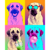 Hunde Kangal Hund