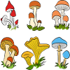 Pilze farbig