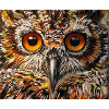 Wise Owl