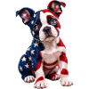 Welpen-Kunst mit amerikanischer Flagge