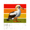 Nazca Booby Nazca Tölpel