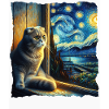Faltohrkatze Starry Night