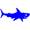 hai