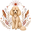 Pudel Boho