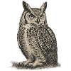 Eule