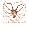 Octopus Brain Power Maxed Out