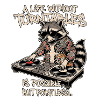 Waschbär Turntable Dj