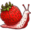 Erdbeer Schnecke