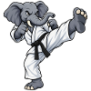 Elefant beim Karate