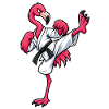 Flamingo beim Karate