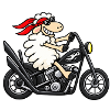 Biker Schaf auf Chopper