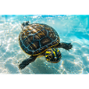 Schwimmende Schildkröte