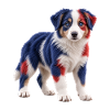 Australischer Schäferhund