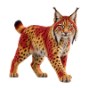 Iberischer Luchs