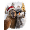 Capybara Weihnachten Winterfreunde