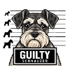 Schnauzer Mugshot - Guilty