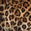 Wildleopardenfell