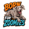 Weimaraner