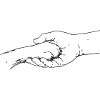 hand-pfote_1