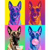 Hunde Belgian Malinois Hund