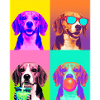 Hunde Beagle Hund