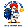 Der französische Nörgler