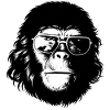 Cool Chimp