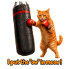 Das Aua in Meow