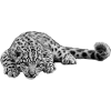schneeleopard baby
