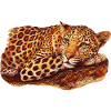 liegende Leopardin, raubkatzen