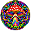 Fliegenpilz