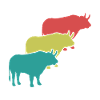 Stier Kraft Trio