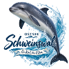 Schweinswal Ostsee Spritzer