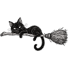 Schwarze Katze auf dem Besen