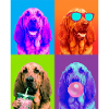 Hunde Bluthund Hund