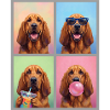 Hunde Bluthund Hund
