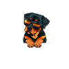 Coole Rottweiler-Sonnenbrillen