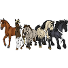 Der Fall Steward (Gruppenbild Pferde)