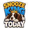 Englischer Springer-Spaniel