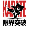 Karate Kick