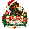 Dackel im Weihnachtsmodus