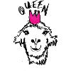 Lama-Queen