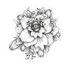 Gotische Blume mit einem Auge