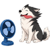 Husky im Gegenwind