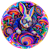 Hase