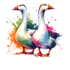 Pilgrim Gans Pilgrim Goose