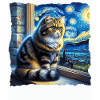 Exotische Kurzhaarkatze Starry Night