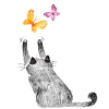 Katzen Katzenmutter Katzenkind Katze Herz